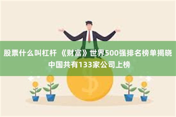 股票什么叫杠杆 《财富》世界500强排名榜单揭晓 中国共有133家公司上榜