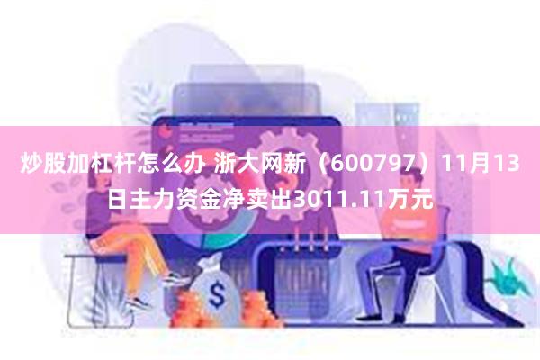 炒股加杠杆怎么办 浙大网新（600797）11月13日主力资金净卖出3011.11万元