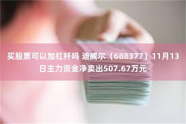 买股票可以加杠杆吗 迪威尔（688377）11月13日主力资金净卖出507.67万元