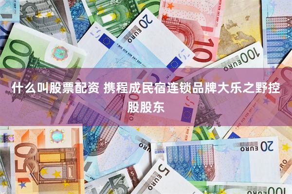 什么叫股票配资 携程成民宿连锁品牌大乐之野控股股东