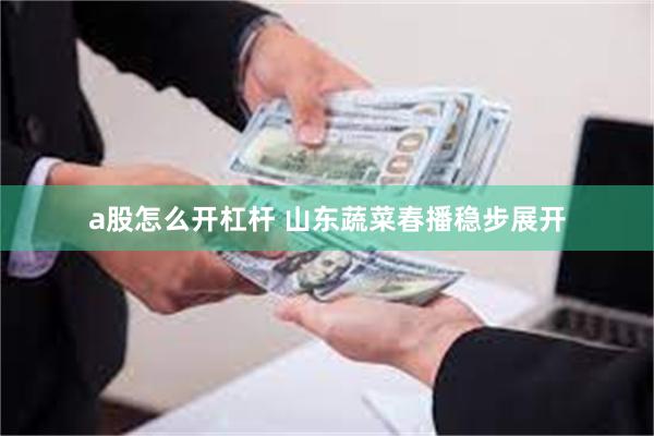 a股怎么开杠杆 山东蔬菜春播稳步展开