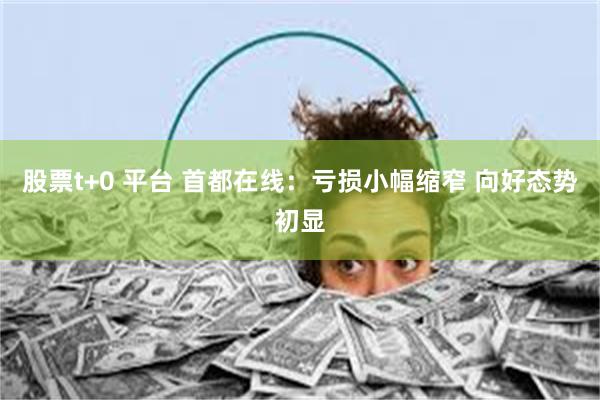 股票t+0 平台 首都在线：亏损小幅缩窄 向好态势初显