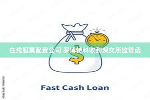 在线股票配资公司 罗博特科收到深交所监管函