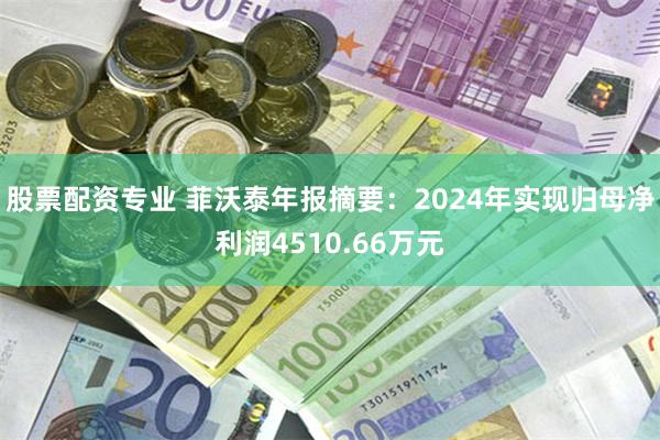 股票配资专业 菲沃泰年报摘要：2024年实现归母净利润4510.66万元