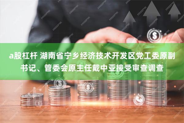a股杠杆 湖南省宁乡经济技术开发区党工委原副书记、管委会原主任戴中亚接受审查调查