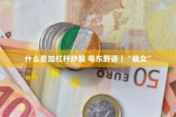 什么是加杠杆炒股 粤东野语｜“靓女”